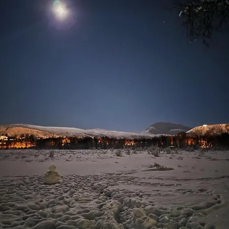 Haakon Viis Gate 3d Appartamento