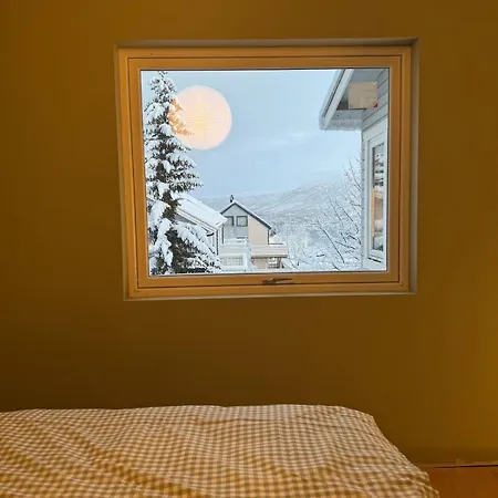 Apartment Haakon Viis Gate 3d *