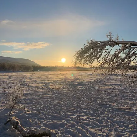 Haakon Viis Gate 3d *