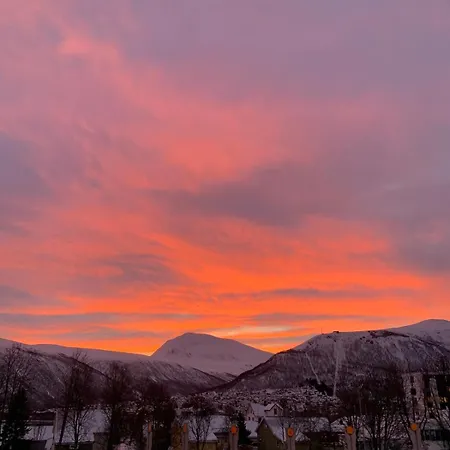 Appartamento Haakon Viis Gate 3d *