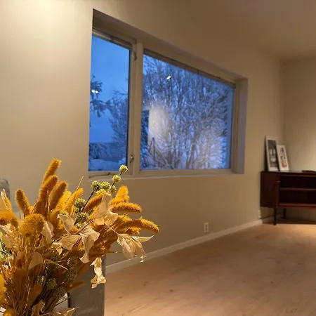 Apartment Haakon Viis Gate 3d Tromso