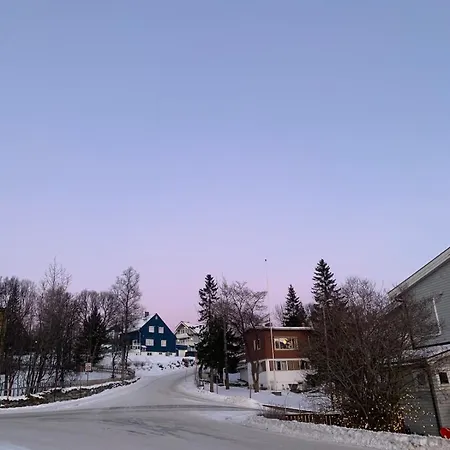Haakon Viis Gate 3d Tromso
