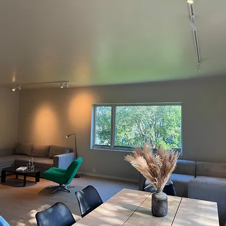 Haakon Viis Gate 3d *