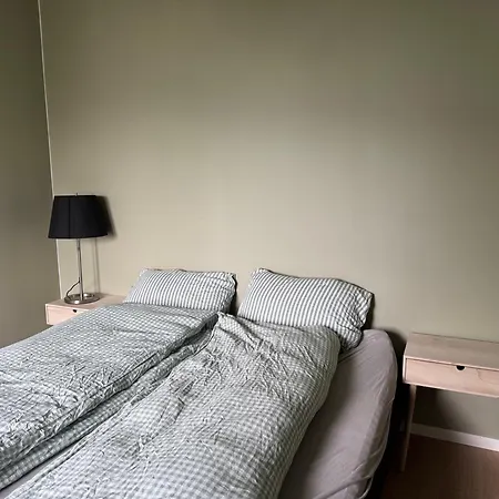 Haakon Viis Gate 3d Appartement *