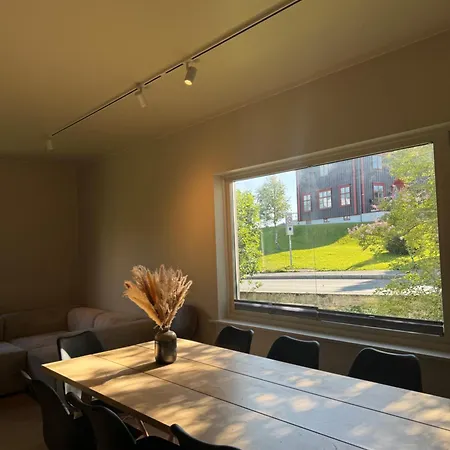 公寓 Haakon Viis Gate 3d 特罗姆瑟