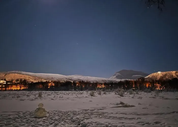 Haakon Viis Gate 3d Apartamento