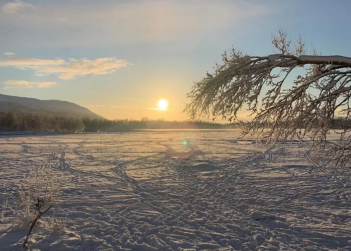 Haakon Viis Gate 3d *