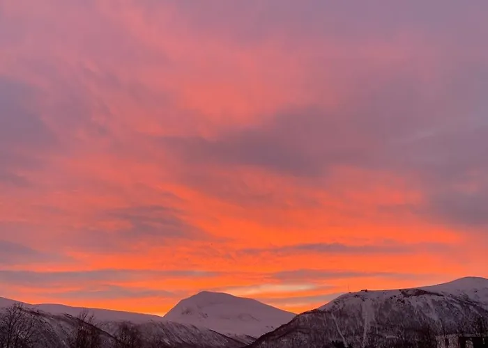 Apartamento Haakon Viis Gate 3d *