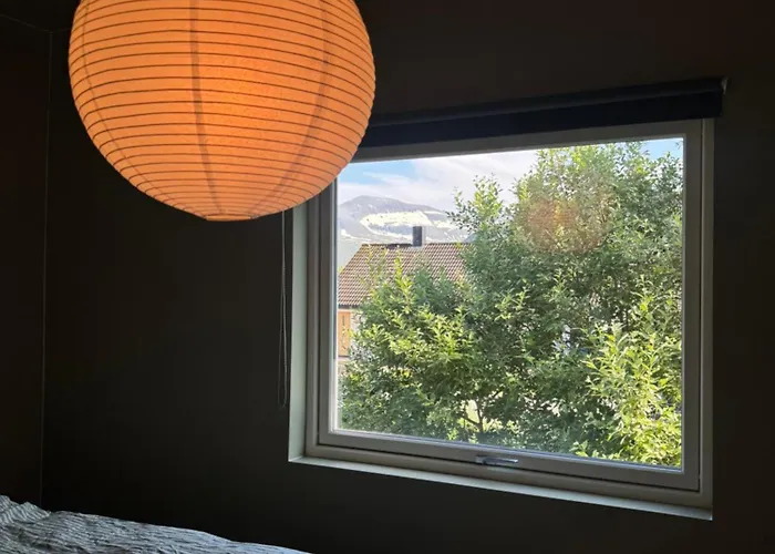 Haakon Viis Gate 3d * Tromsø